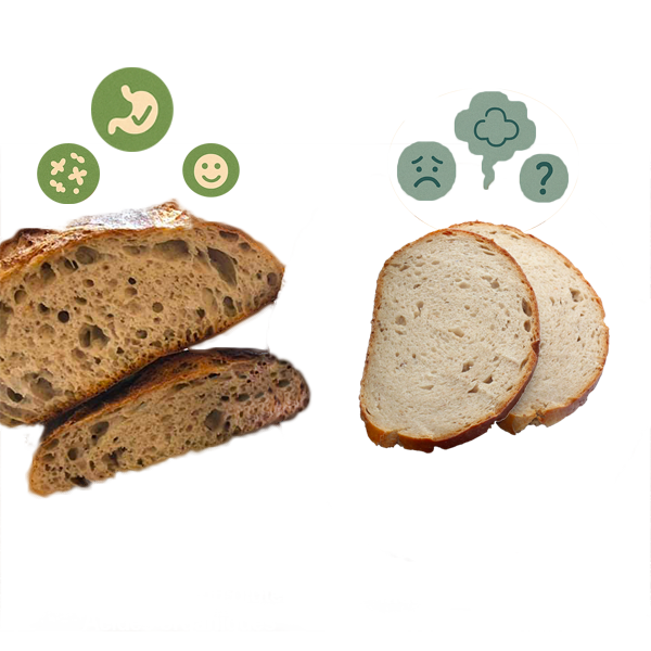 Pain au levain par rapport au pain à la levure